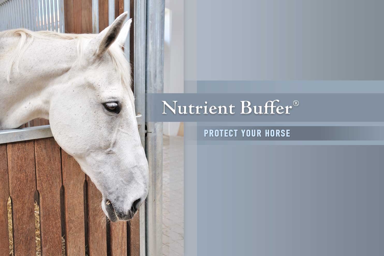 Stalling, Confinement & Trailering Your Horse Can Cause Ulcers